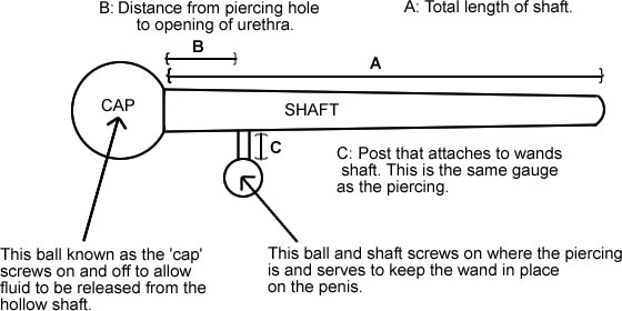 what is a pierced penis called Arab cock vids gay